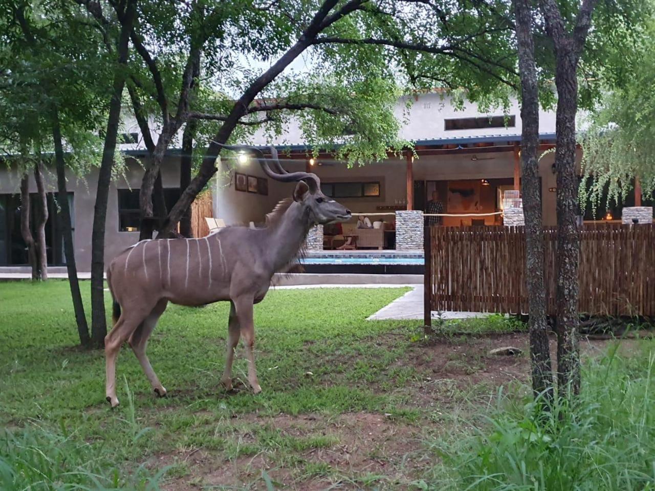Dream Of Africa Bush Lodge Marloth Park Exterior photo