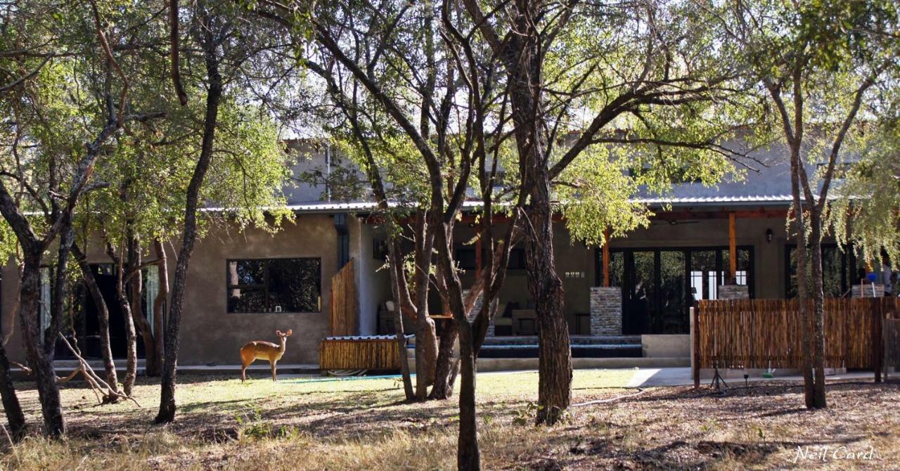 Dream Of Africa Bush Lodge Marloth Park Exterior photo